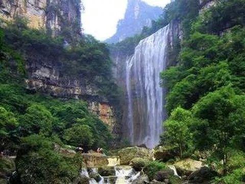 春雨直播app
