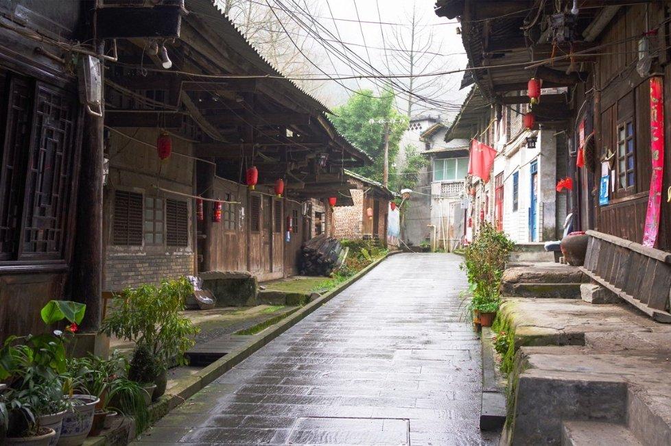 虫虫助手下载